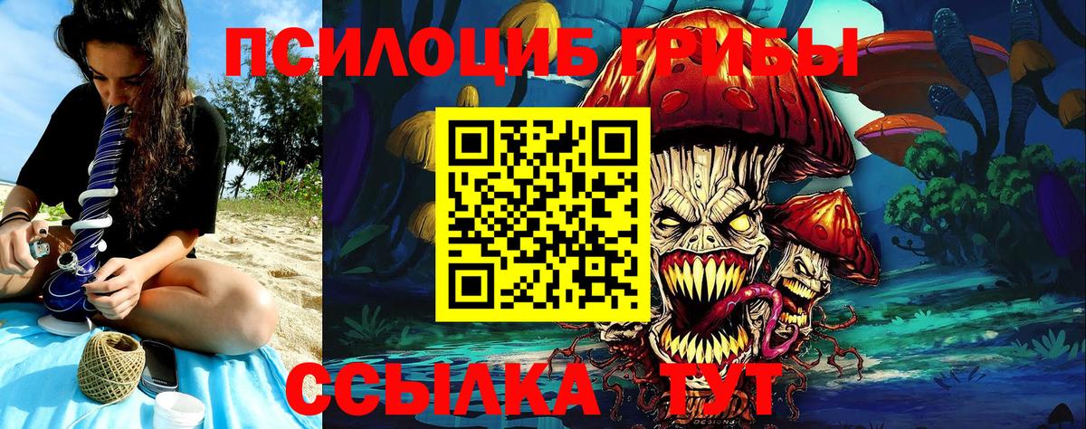 Рязань  Псилоцибиновые грибы GOLDEN TEACHER  сколько стоит  Вход с VPN  Галлюциногенные грибы мицелий 