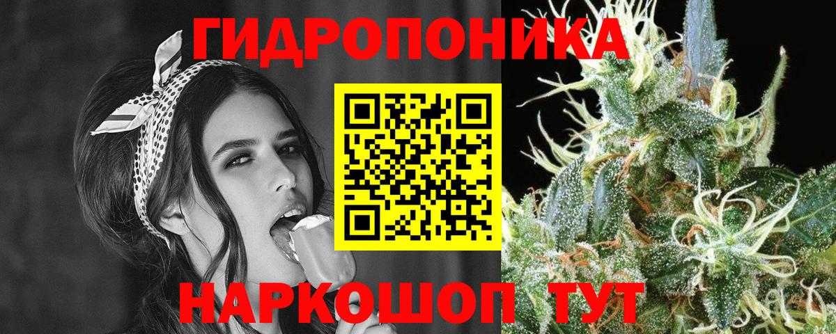 Рязань  Каннабис план  Каннабис сатива  Бошки Шишки LSD WEED  Вход с VPN 